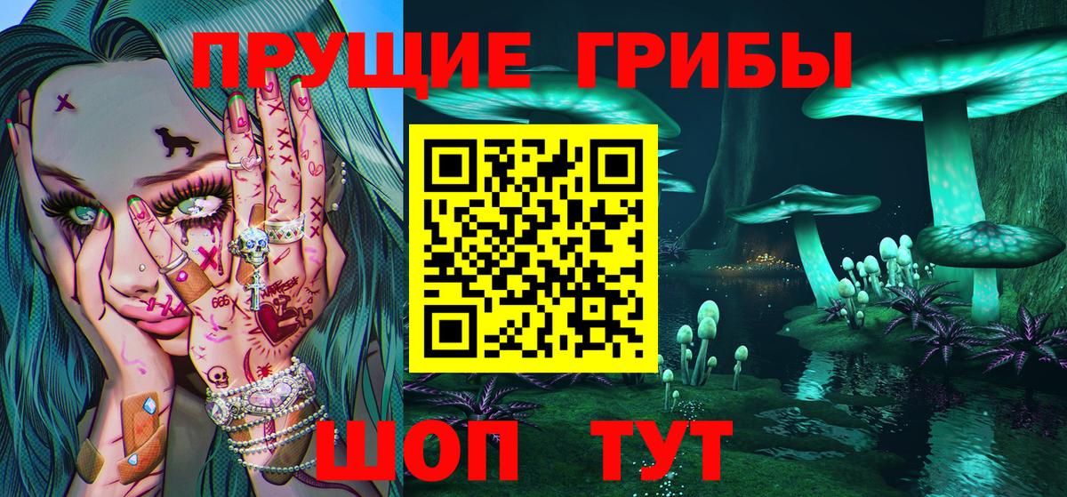Касимов  Галлюциногенные грибы Cubensis  Вход с VPN 