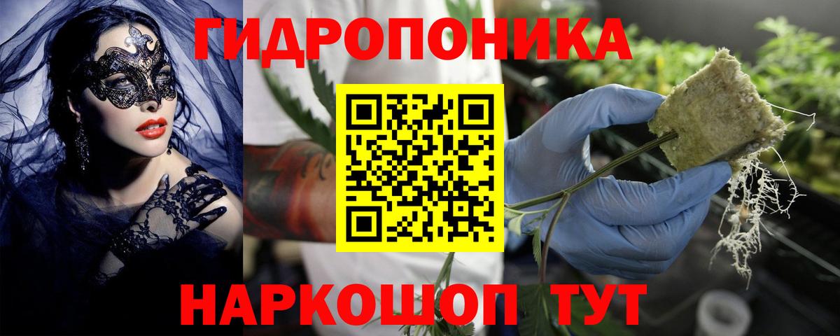 Шишки марихуана MAZAR  Вход с VPN  МАРИХУАНА MAZAR  Касимов  Бошки марихуана White Widow 